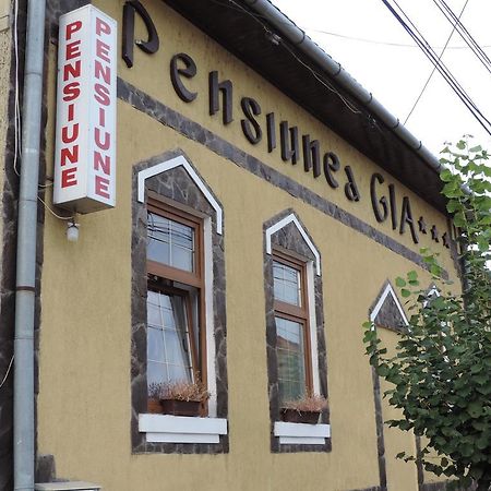 Pensiunea Gia Sighişoara Exteriör bild