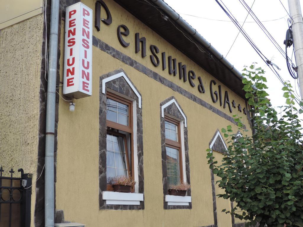 Pensiunea Gia Sighişoara Exteriör bild